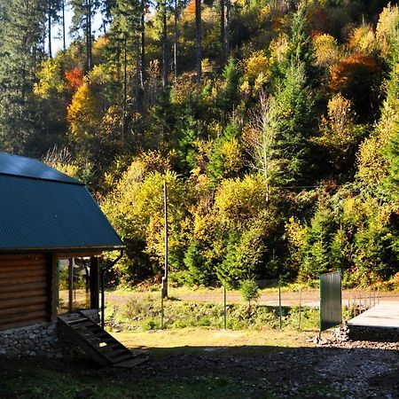 Гостьовий Дім Секвойя Verkhnyaya Bystra Εξωτερικό φωτογραφία